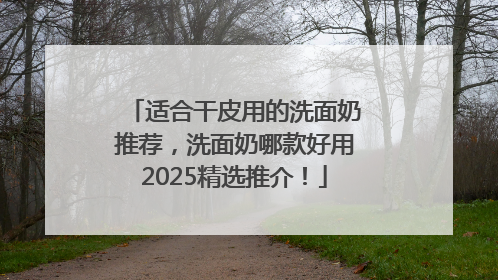 适合干皮用的洗面奶推荐，洗面奶哪款好用2025精选推介！