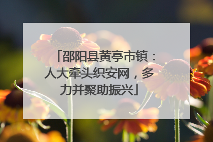 邵阳县黄亭市镇：人大牵头织安网，多力并聚助振兴