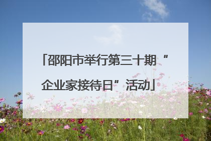 邵阳市举行第三十期“企业家接待日”活动