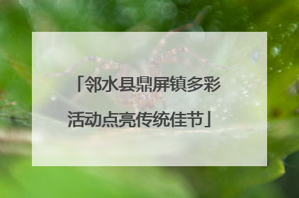 邻水县鼎屏镇多彩活动点亮传统佳节