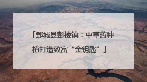 鄄城县彭楼镇：中草药种植打造致富“金钥匙”