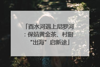 酉水河遇上尼罗河：保靖黄金茶、村厨“出海”启新途