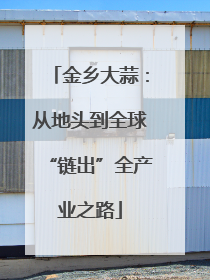 金乡大蒜：从地头到全球“链出”全产业之路