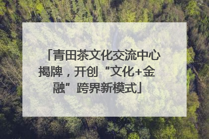 青田茶文化交流中心揭牌，开创“文化+金融”跨界新模式