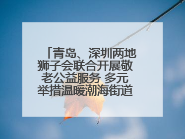 青岛、深圳两地狮子会联合开展敬老公益服务 多元举措温暖潮海街道南杨头村老人