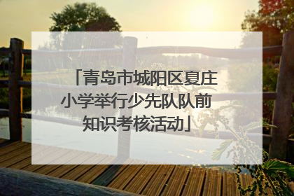 青岛市城阳区夏庄小学举行少先队队前知识考核活动