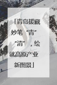 青岛援藏妙笔“青”“清”，绘就高原产业新图景