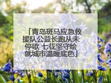 青岛斑马应急救援队公益长跑从未停歇 七载坚守绘就城市温暖底色
