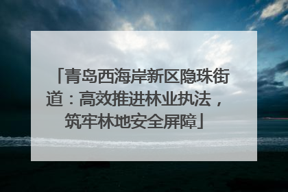 青岛西海岸新区隐珠街道：高效推进林业执法，筑牢林地安全屏障
