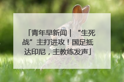 青年早新闻｜“生死战”主打进攻！国足抵达印尼，主教练发声