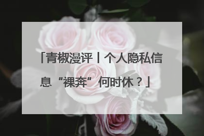 青椒漫评丨个人隐私信息“裸奔”何时休？