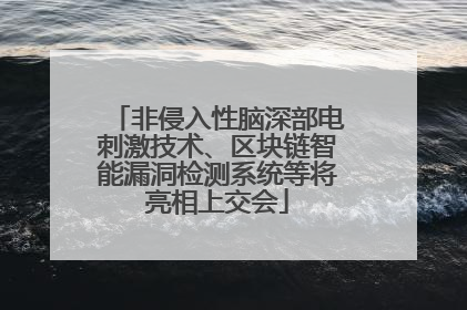 非侵入性脑深部电刺激技术、区块链智能漏洞检测系统等将亮相上交会