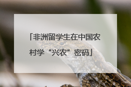 非洲留学生在中国农村学“兴农”密码