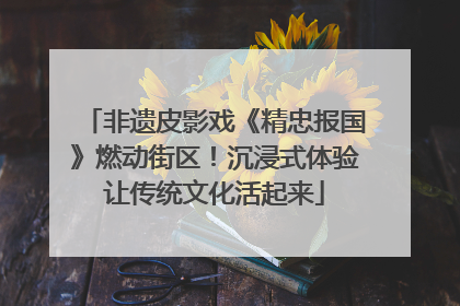 非遗皮影戏《精忠报国》燃动街区！沉浸式体验让传统文化活起来