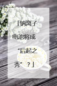 钠离子电池将成“后起之秀”？