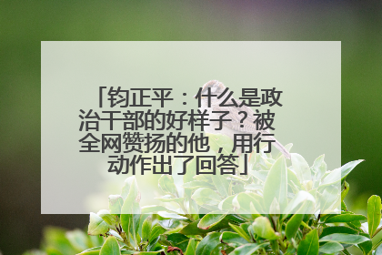 钧正平：什么是政治干部的好样子？被全网赞扬的他，用行动作出了回答