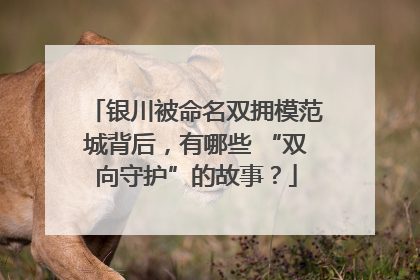 银川被命名双拥模范城背后，有哪些 “双向守护”的故事？