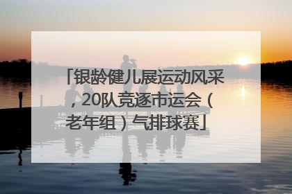 银龄健儿展运动风采，20队竞逐市运会（老年组）气排球赛