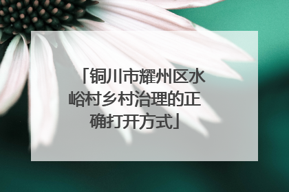 铜川市耀州区水峪村乡村治理的正确打开方式