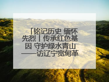 铭记历史 缅怀先烈丨传承红色基因 守护绿水青山——访辽宁宽甸革命老区