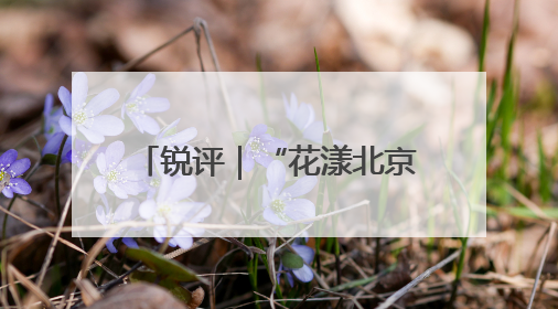 锐评｜“花漾北京”是如何实现的