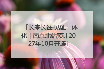 长来长往·见证一体化｜南京北站预计2027年10月开通