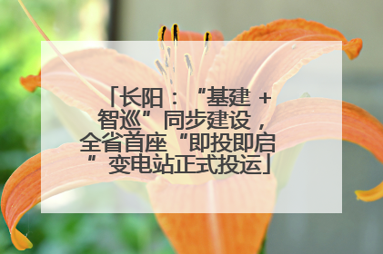 长阳：“基建 + 智巡”同步建设，全省首座“即投即启”变电站正式投运