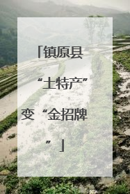 镇原县 “土特产”变“金招牌”