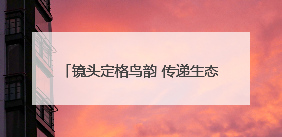 镜头定格鸟韵 传递生态之美——连云港生态摄影展引市民共赏自然之魅