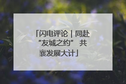 闪电评论｜同赴“友城之约” 共襄发展大计