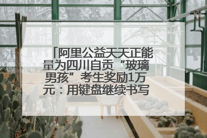 阿里公益天天正能量为四川自贡“玻璃男孩”考生奖励1万元：用键盘继续书写不设限的人生