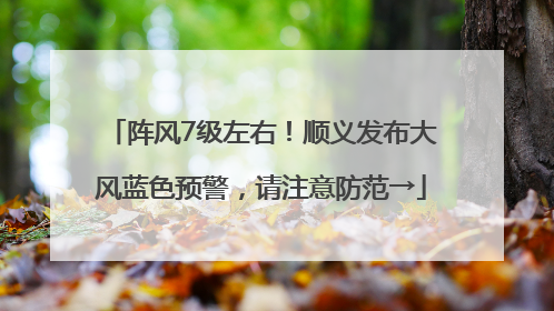 阵风7级左右！顺义发布大风蓝色预警，请注意防范→
