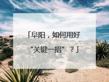 阜阳，如何用好“关键一招”？