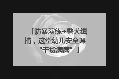 防暴演练+警犬缉捕，这堂幼儿安全课“干货满满”