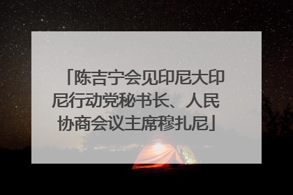 陈吉宁会见印尼大印尼行动党秘书长、人民协商会议主席穆扎尼