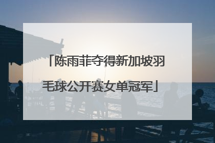 陈雨菲夺得新加坡羽毛球公开赛女单冠军