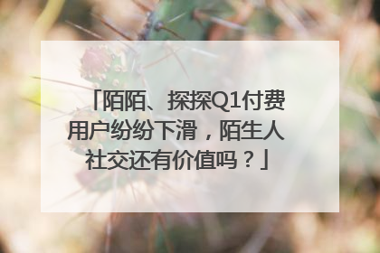 陌陌、探探Q1付费用户纷纷下滑，陌生人社交还有价值吗？