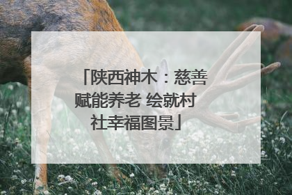 陕西神木：慈善赋能养老 绘就村社幸福图景