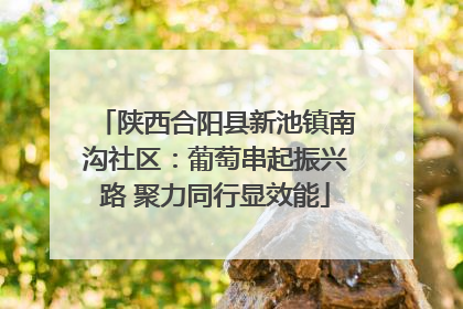 陕西合阳县新池镇南沟社区：葡萄串起振兴路 聚力同行显效能