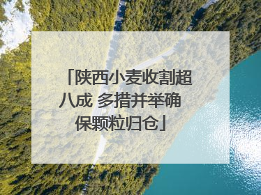 陕西小麦收割超八成 多措并举确保颗粒归仓
