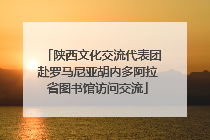 陕西文化交流代表团赴罗马尼亚胡内多阿拉省图书馆访问交流