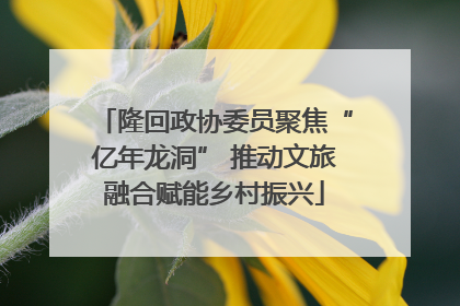 隆回政协委员聚焦“亿年龙洞” 推动文旅融合赋能乡村振兴