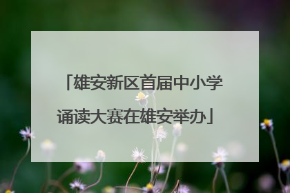 雄安新区首届中小学诵读大赛在雄安举办
