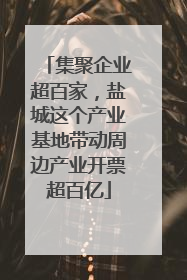 集聚企业超百家，盐城这个产业基地带动周边产业开票超百亿