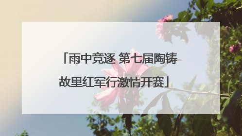 雨中竞逐 第七届陶铸故里红军行激情开赛
