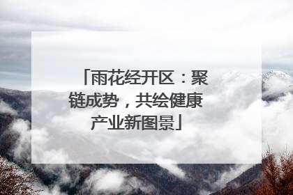 雨花经开区：聚链成势，共绘健康产业新图景