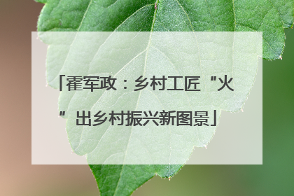 霍军政：乡村工匠“火”出乡村振兴新图景
