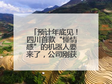 预计年底见！四川首款“懂情感”的机器人要来了，公司刚获数千万元融资