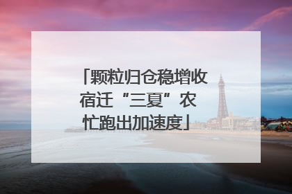 颗粒归仓稳增收 宿迁“三夏”农忙跑出加速度