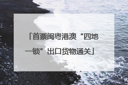 首票闽粤港澳“四地一锁”出口货物通关
